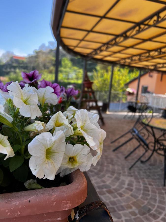 Mamaral Otel Agerola Dış mekan fotoğraf